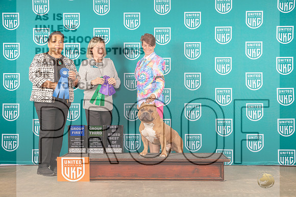 American Bully #? Sun G1 Judge Michelle Blackowl Chavez__MJ_3995eUKCBELTON 2022-HR3
