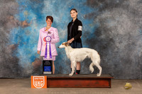 aniko sabo UKC Belton 2022
