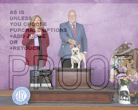 French Bulldog #38 Fri WB Janice McClaryFrench Bulldog #38 Fri WB Janice McClary_WP_1281e-Glen Rose 2026-HR3
