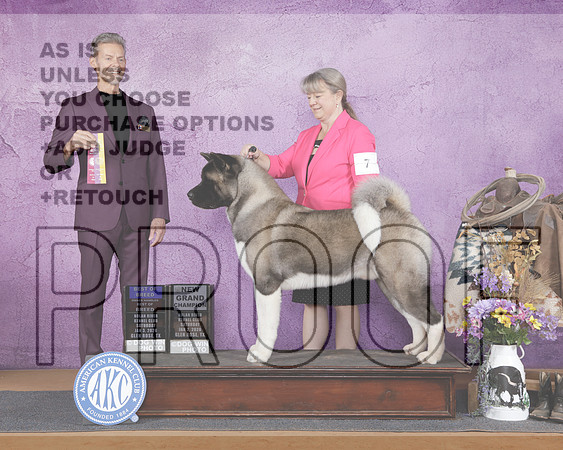 Akita #7 Sat BOB OHBOB NGCH Judge Duff HarrisAkita #7 Sat BOB OHBOB NGCH Judge Duff Harris_WP_2996e-Glen Rose 2026-HR3
