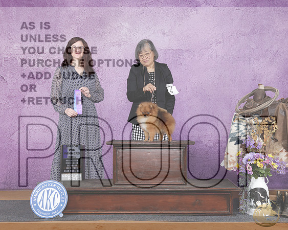 Pomeranian #5 Sat WD M Judge Fatima WeaverPomeranian #5 Sat WD M Judge Fatima Weaver_WP_1696e-Glen Rose 2026-HR3