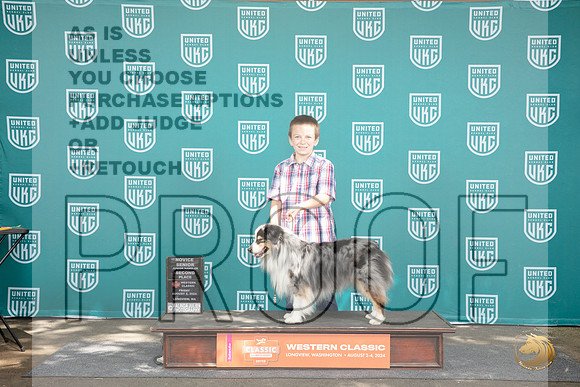 Miniature American Shepherd #801 Fri Jr 2nd Judge Malinda Julien __JP_1090_Longview WA_2024_HR3