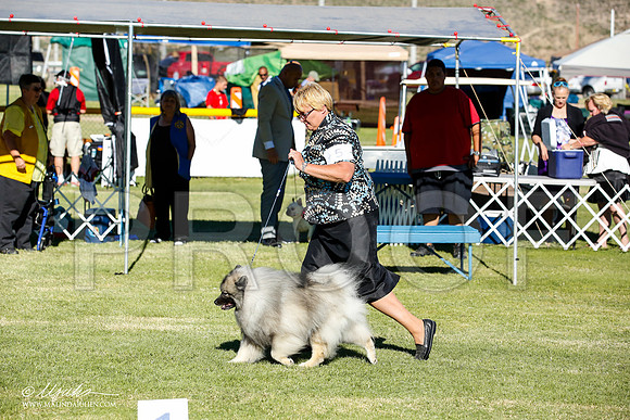 _JN_9664-AlamogordoOct2014-HR3