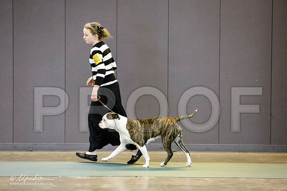 _RH_8741-BeltonJan2015-HR3