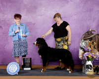 Becky Shuris Glen Rose 2026