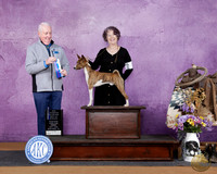 Debra E Brown-Thompson Glen Rose 2026