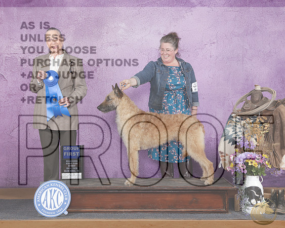 Belgian Lakenois #5 Sun G1 Judge Carolyn HerbelBelgian Lakenois #5 Sun G1 Judge Carolyn Herbel_WP_3564e-Glen Rose 2026-HR3