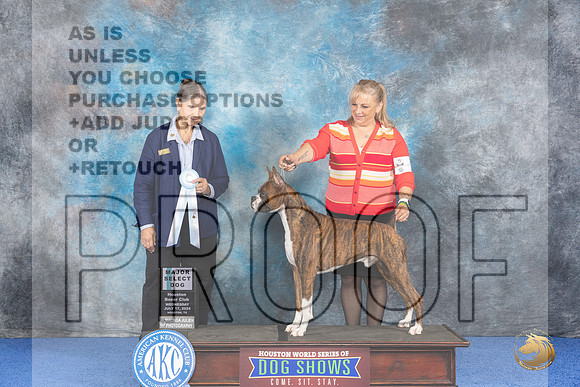 Boxer #9 WED SD Judge Cathy De La Garza__JP_6559_Houston_2024_HR3