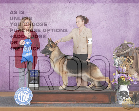 German Shepherd #10 Fri G1 Judge Janice McClarry rGerman Shepherd #10 Fri G1 Judge Janice McClarry r_WP_2545e-Glen Rose 2026-HR3