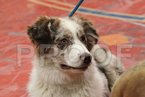 MJS_2780