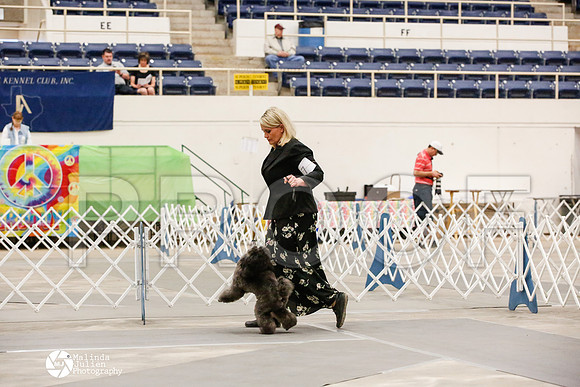 _JJ_9084-AblnMay2014-web