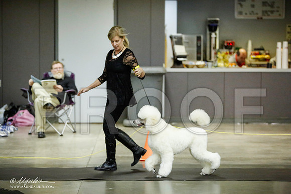 _JJ_5669-BeltonJan2015IABCA-HR3