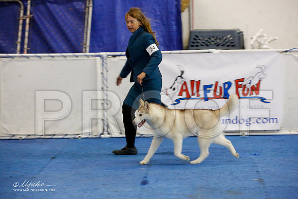 _M3_0578-AddisonHuskyMar2015-HR3