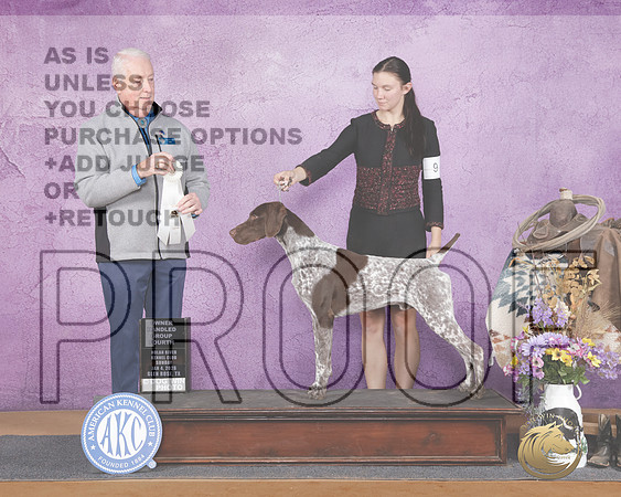 German Shorthaired Pointer #9 Sun OHG4 Judge Steve Keating-_WP_3471e_Glen Rose 2026-HR3