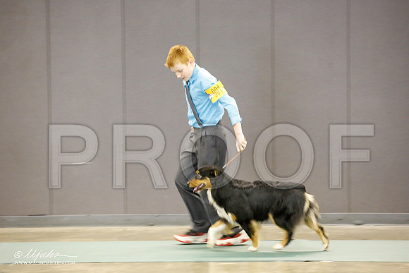 _JN_1328-BeltonJan2015-HR3