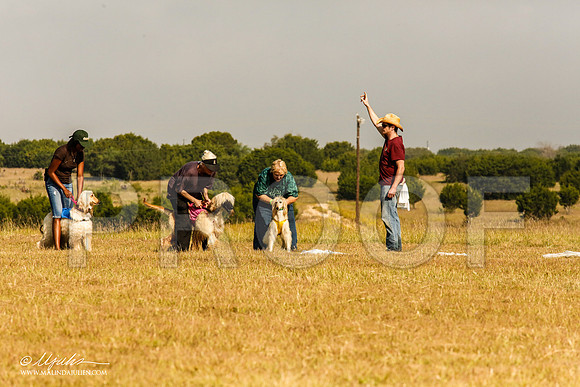 _MJ_4087-AfgBeltonOct2014-HR3