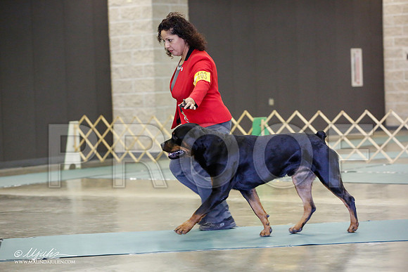 _JN_2146-BeltonJan2015-HR3