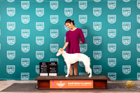 Silken Windhound #320 Sun BOWCH Judge Tina Camp