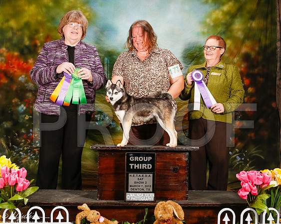 _ST_3767-2-DentonMar2015-HR3
