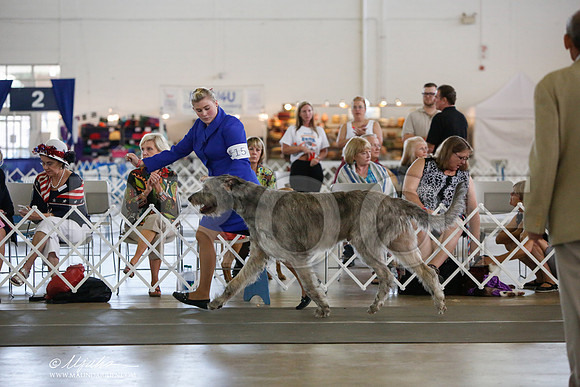 _JJ_2725-DallasJul2014-HR3