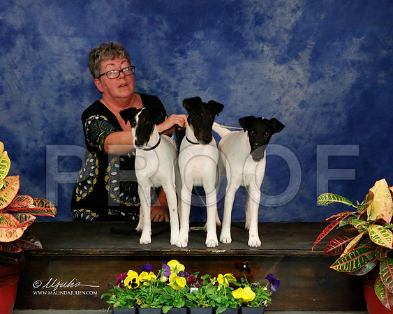 _J2_8651-NormNov2013-HR