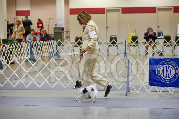 _JJ_1114-AmarilloSept2014-HR3