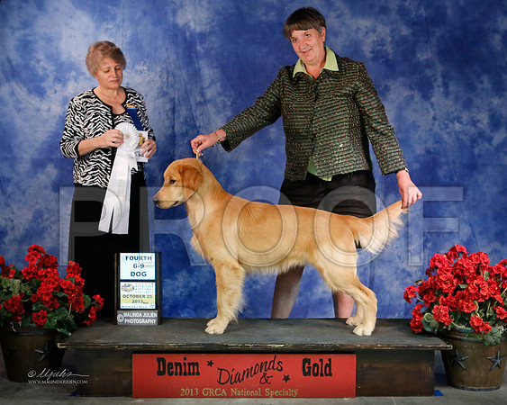 Pup6-9-8106-WFOct2013-HR