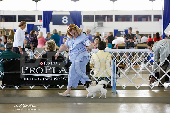 _CK_5264-DallasJul2014-HR3