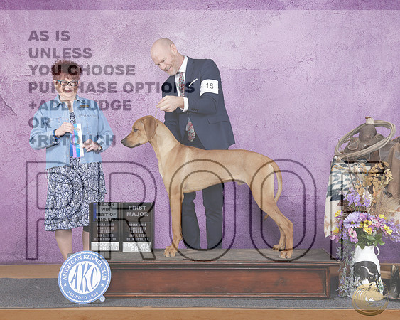 Rhodeisan Rideback #15 Sat WD BOW M Judge Debbie MelgreenRhodeisan Rideback #15 Sat WD BOW M Judge Debbie Melgreen_WP_1817e-Glen Rose 2026-HR3