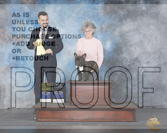 French Bulldog #17 Sun g4 NC Judge Joao MacadoFrench Bulldog #17 Sun g4 NC Judge Joao Macado_WP_4624e-UDOG Longview TX Jan 2026-HR3