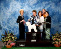 Bichon Frise #7 Thurs BISweeps Wright Kurt Paulette Rollins Barbara L Judge June Penta