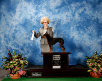 Manchester Terrier #6 Thurs SB Barbara Wood