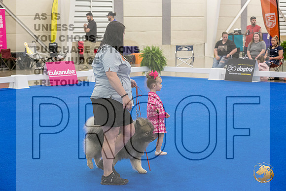 Juniors Ring Sat_JJL_2462_Premier_2024_HR3