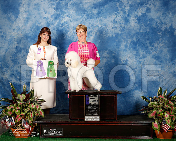 _ST_4560-2-DallasJul2015-HR3