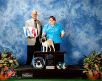 Pug #30 Thurs S2 New CH BOS BOW Maj RATLIFF Kristy & Kevin Judge Gary L Andersen