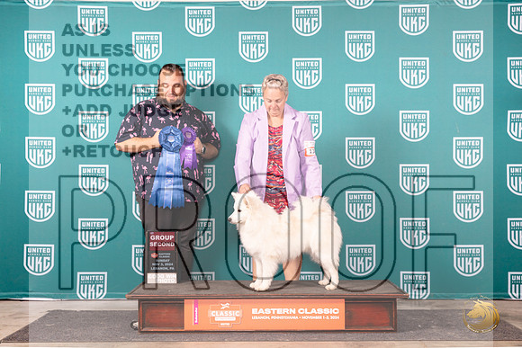 American Eskimo #138 G1 Sun Judge William Chrazanowski__JP_2450_UKCEastern_2024_HR3