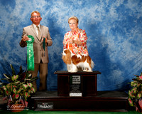 Cavalier King Charles Spaniel #32 Thurs BBE Hall Frankie and Ann Kelly Kent Judge Mr Brian Rix