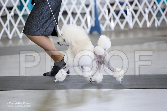 _JJ_0398-DallasJul2015-HR3