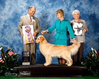 Golden Retriever #6 Thurs BOB Curran Haley and Shari Curran Agent Diane Mueller Judge Mr Bill Lauderdale
