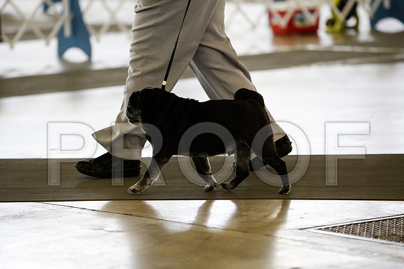 _JJ_0151-DallasJul2015-HR3