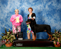 Rottweiler #31 Thurs Best Vet in Sweeps Marhsha Mccaddon Ed and Judge Beth Peil Riley