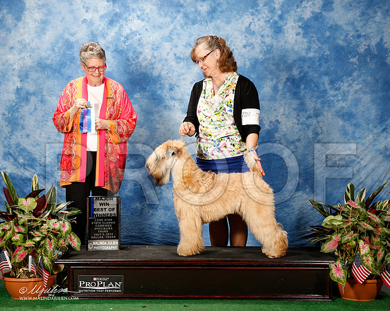 _ST_4598-2-DallasJul2015-HR3