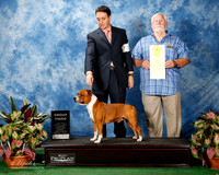 Staffordshire Bull Terrier #15 Thurs G3 Wall Jennifer Judge Dr Al Pertuit