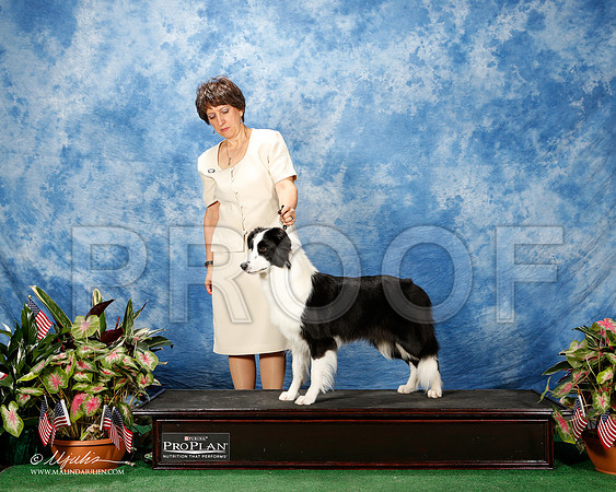 _ST_4866-2-DallasJul2015-HR3