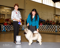 Keeshonden #9 Fri BOB Baldobino Emma Judge Sue Goldberg