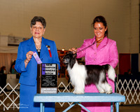 Chinese Crested #22 Fri NC Lyons Norma Feldman and Sharon Agent Tara Richardson Judge Delores Burkholder