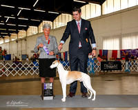 Whippet #25 Maj WD Rockwell Diana and Karen Miller Judge Theresa L Hundt