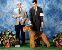 Airedale Terrier #5 Fri Maj BOW NC Westerman Caroline and Anna Brinker and Joan Clarke Judge Robert Paust