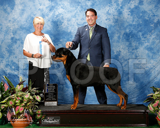 _ST_4923-2-DallasJul2015-HR3