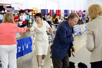 Border Collie #10 Doucet Joanne Fri Ring